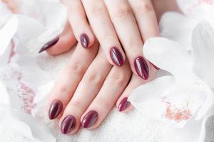 manos de una mujer joven con manicura roja oscura en las uñas foto