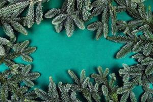 Green background with fir-tree branches. photo