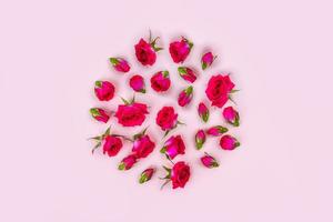 Beautiful roses on pink background, top view. photo