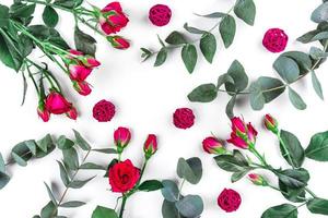 Beautiful sprigs of eucalyptus and roses on white background, top view. photo