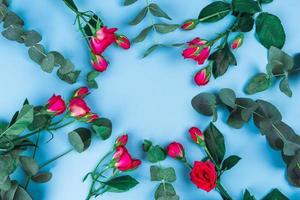 Beautiful sprigs of eucalyptus and roses on blue background, top view. photo