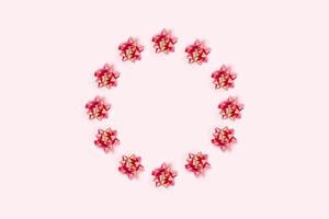 Christmas pink background with circle frame. photo