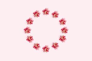 Christmas pink background with circle frame. photo