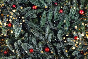 Christmas background with fir branches and red and black balls. photo