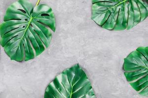 Cup of coffee with tropical leaves on gray background. photo