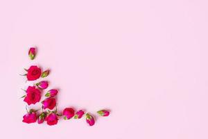 Beautiful roses on pink background, top view. photo