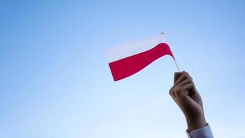 bandera nacional de polonia sosteniendo en la mano contra el fondo azul, enfoque suave y selectivo en la bandera. foto