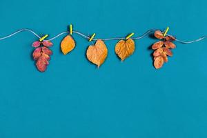 hojas secas de otoño fijadas con pinzas para la ropa a la cuerda. foto