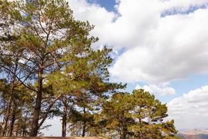 The scenery in the highlands autumn landscape overlooking the countryside with blue skies, the concept of natural relaxation tourism. photo