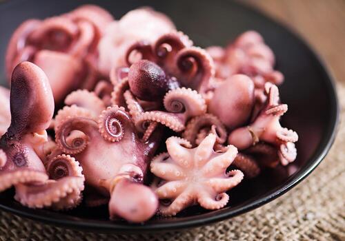 Boiled small octopus on a plate photo