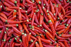 Fresh organic red spicy Thai chilies background. Concept, food ingredients, agriculture crops in Thailand for cooking with spicy food, chiles sauce or chilli paste. photo