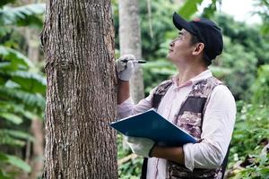 Asian male botanist is inspecting and recording about trunk of  tree information on paper clipboard. Concept , Survey ,research botanical plants. Forest and environment conservation. photo