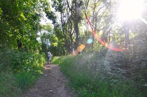 A young guy in a gray sports suit runs along the path among the photo