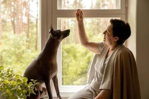 Middle age beautiful woman sitting on windowsill with her dog. 50-year-old woman spending time with her Mexican hairless dog at home. Xoloitzquintle, xolo breed. Dog as best friend, family member. photo