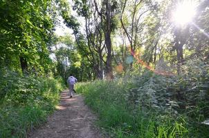 A young guy in a gray sports suit runs along the path among the photo