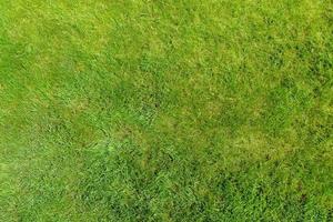 Perfectly and freshly mowed garden lawn in summer. Close-up view of green grass, natural background texture. Trimmed grass, field. photo