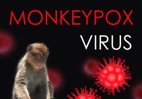 Illustration of monkeypox, infectious disease caused by the monkey pox virus. Multi-country outbreak, the new cases. Viral zoonotic disease, dangerous infection. photo