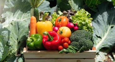 Wooden crate filled with fresh organic vegetables photo