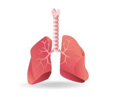 Isometric flat 3d illustration of anatomy concept of esophagus to lungs
