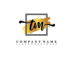 TM Initial handwriting logo concept vector