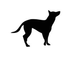 Dog silhouette vector template