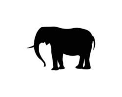 plantilla de vector de silueta de elefante