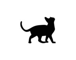 Cat silhouette template vector