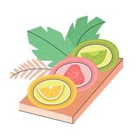 different mochi with strawberry, orange, pineapple, kiwi flavors on isolated background vector