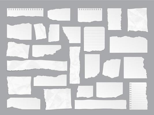 White torn paper note rips, sheet page scraps