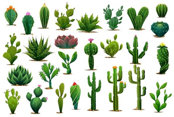Thorn Bush Vector Art & Graphics Thorn Bush Vector Art & Graphics