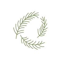 Spruce twigs. Three pine branches. Vector isolated