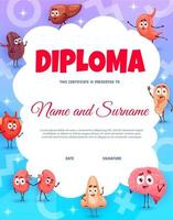 Kids diploma, young doctor, cartoon body organs vector