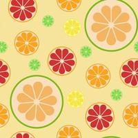 Pattern with citrus cutaway fruit lemon, lime vector