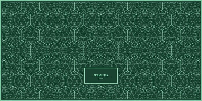 abstract hex pattern with multiple random line inside vector