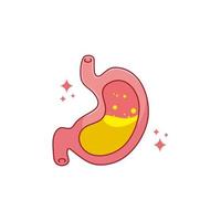Human internal organ with stomach. Vector cartoon flat icon illustration isolated on white background.