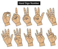 Número de lenguaje de señas americano. colección de gestos de conteo de lenguaje de señas de mano vector