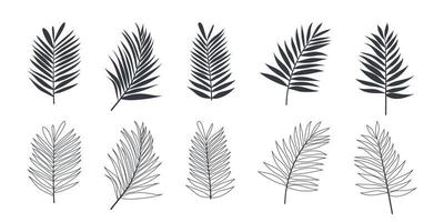 Tropical leaves. Palm leaves. Set of leaves icons linear and flat style. Vector illustration