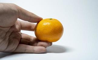 A picture of tangerines inside the studio photo