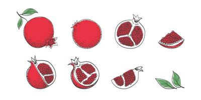 Pomegranates. Set of hand drawing pomegranates. Cartoon pomegranates. Doodle fruits. Vector illustration