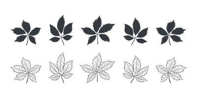 Leaves icon. Tree leaves of different types in autumn and summer. Vector illustration