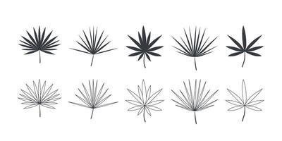 Tropical green palm leaves. Set of leaves icons linear and flat style. Vector illustration
