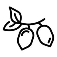icono de semillas de jojoba bio, estilo de esquema vector