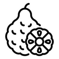 Fresh bergamot icon, outline style vector