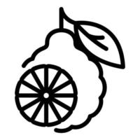 Bergamot icon, outline style vector