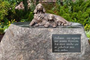 Bronze monument dedicated to dog loyalty, close-up photo