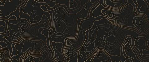 Topographic map. Abstract background with lines and circles. Red mountain contour lines. Topographic terrain. Red, yellow background with space grid Topographic background. photo
