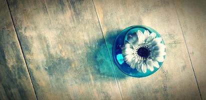 Top view of white flower in clear blue vase on wooden table with copy space in vintage tone. Flat lay of flora in jug on wood background or wallpaper. photo