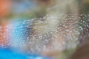 blurred abstract spiderweb natural with rain drop on the line against the sun photo