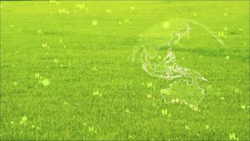 global digital and australia continent with green H2 text particles flying on green grass photo