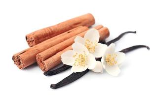 Vanilla sticks and cinnamon photo